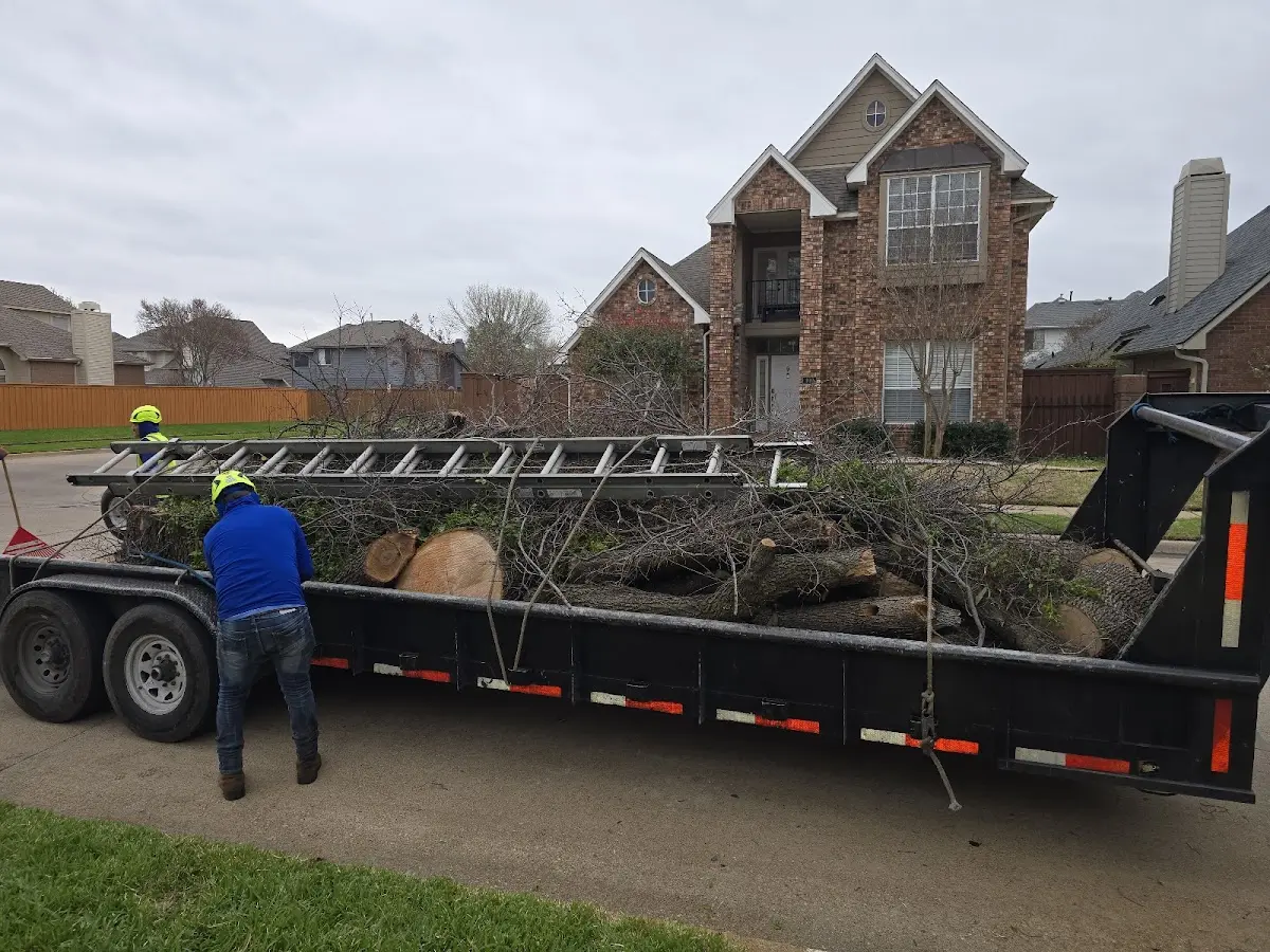 Expert Crown Reduction with proper safety equipment in Winter Springs